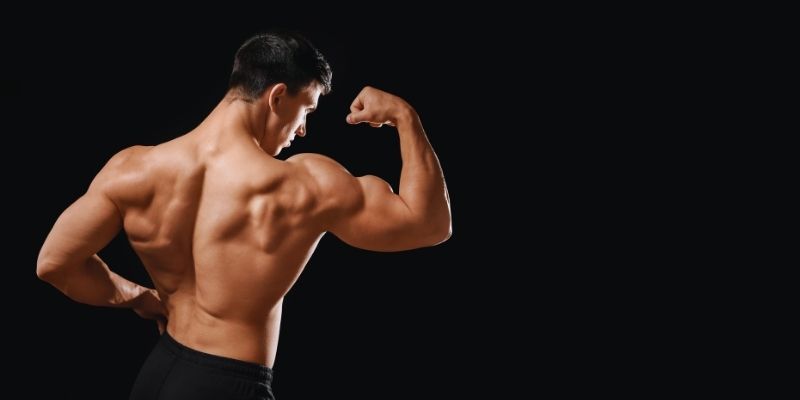 Best Muscle-Building Exercises: A Comprehensive Guide for Beginners 