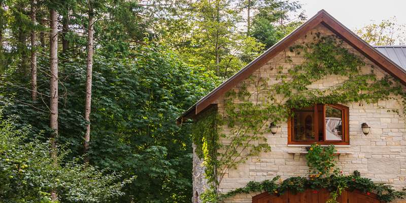 Stay at Ligaya’s Guest House, a Charming Stay in Sagada